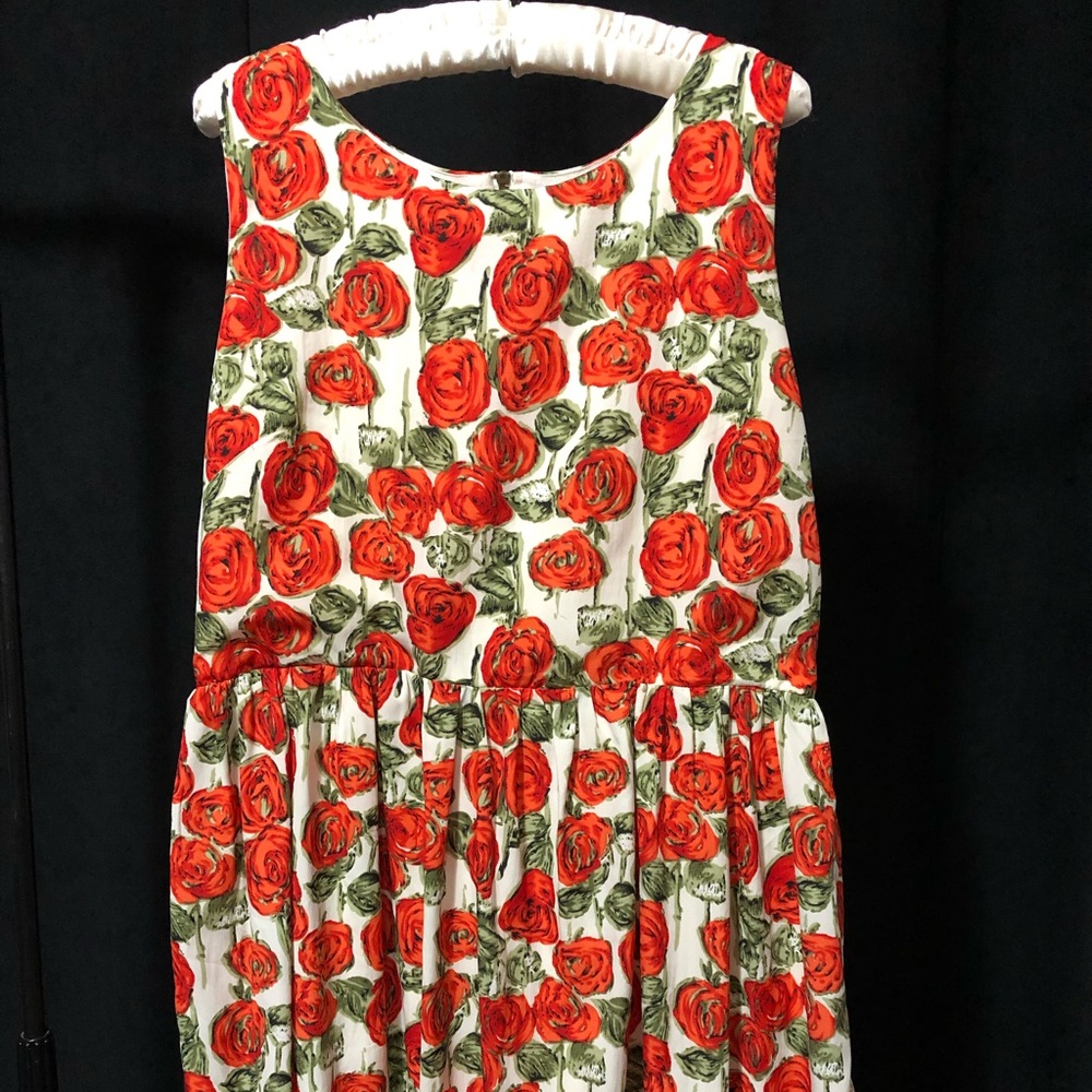 Vibrant Rose 🌹 print dress